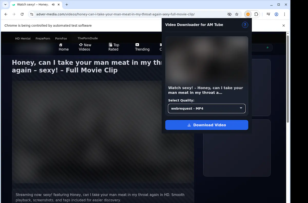 Amtube Video Downloader screenshot 3